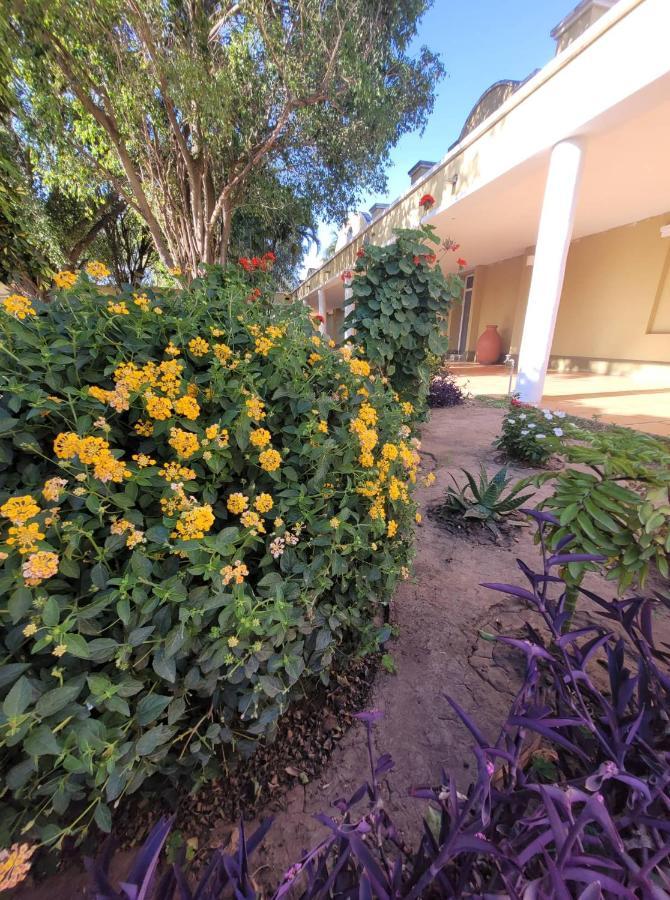 Hotel Portico Norte Tartagal Εξωτερικό φωτογραφία