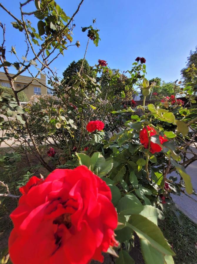 Hotel Portico Norte Tartagal Εξωτερικό φωτογραφία
